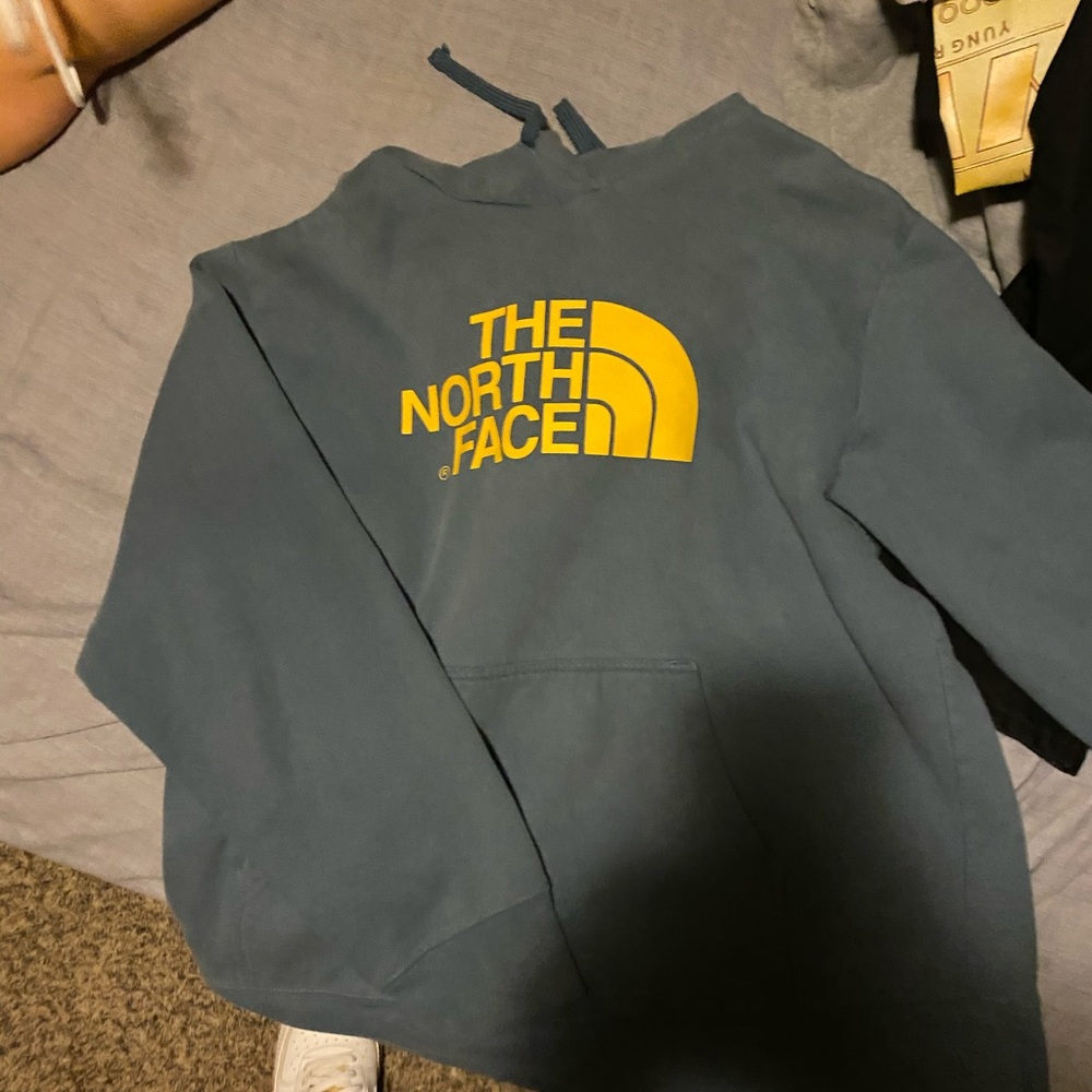 The north face hoodie